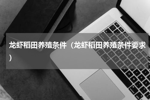 龙虾稻田养殖条件（龙虾稻田养殖条件要求）