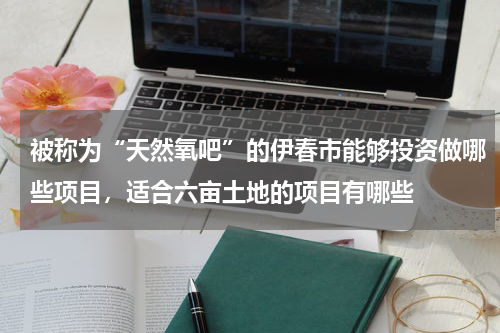 被称为“天然氧吧”的伊春市能够投资做哪些项目，适合六亩土地的项目有哪些