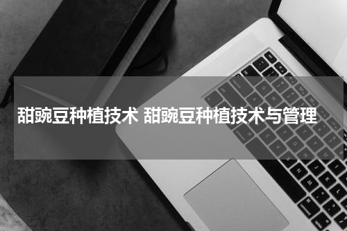 甜豌豆种植技术 甜豌豆种植技术与管理