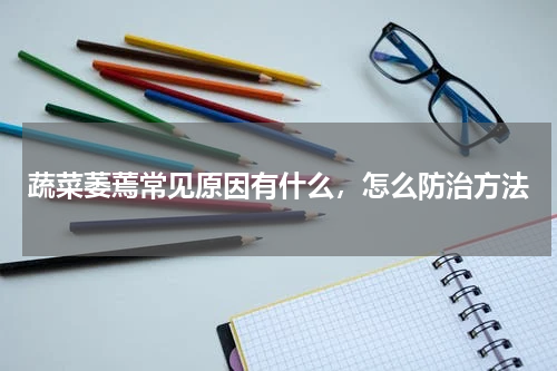 蔬菜萎蔫常见原因有什么，怎么防治方法