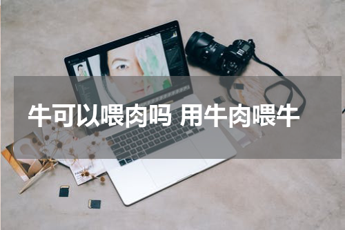 牛可以喂肉吗 用牛肉喂牛