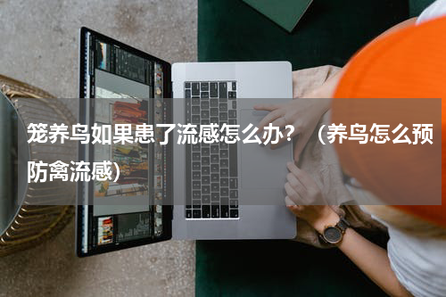 笼养鸟如果患了流感怎么办？（养鸟怎么预防禽流感）