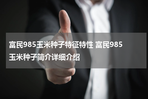 富民985玉米种子特征特性 富民985玉米种子简介详细介绍