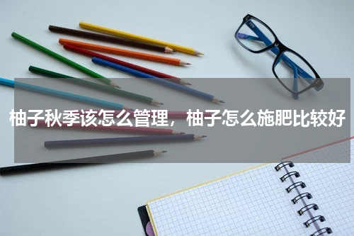 柚子秋季该怎么管理，柚子怎么施肥比较好