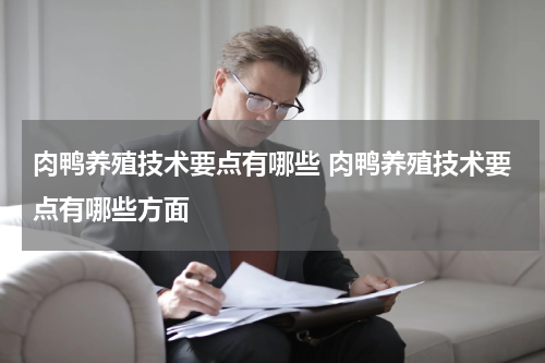 肉鸭养殖技术要点有哪些 肉鸭养殖技术要点有哪些方面