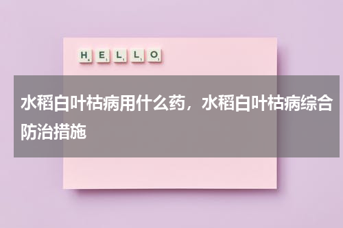 水稻白叶枯病用什么药，水稻白叶枯病综合防治措施