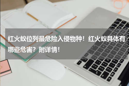 红火蚁位列最危险入侵物种！红火蚁具体有哪些危害？附详情！