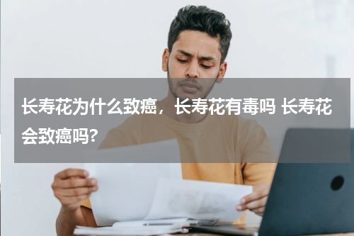 长寿花为什么致癌，长寿花有毒吗 长寿花会致癌吗?