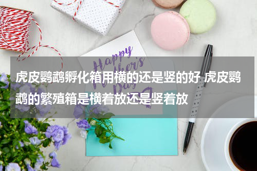 虎皮鹦鹉孵化箱用横的还是竖的好 虎皮鹦鹉的繁殖箱是横着放还是竖着放