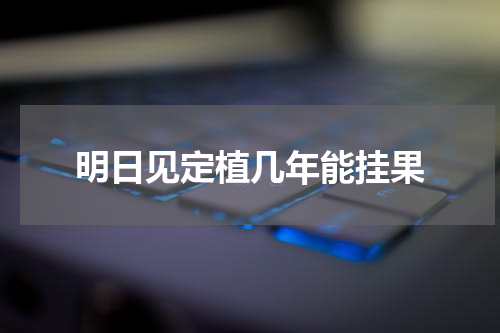 明日见定植几年能挂果