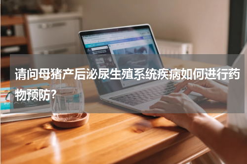 请问母猪产后泌尿生殖系统疾病如何进行药物预防？