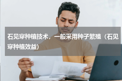 石见穿种植技术，一般采用种子繁殖（石见穿种植效益）