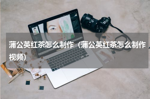 蒲公英红茶怎么制作（蒲公英红茶怎么制作视频）