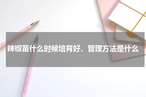 辣椒苗什么时候培育好，管理方法是什么