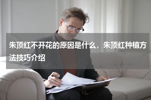 朱顶红不开花的原因是什么，朱顶红种植方法技巧介绍