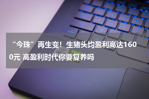 “今珠”再生变！生猪头均盈利高达1600元 高盈利时代你要复养吗