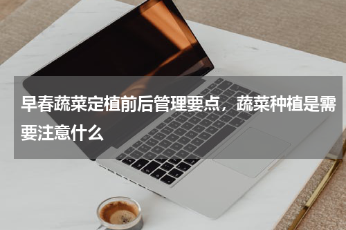早春蔬菜定植前后管理要点，蔬菜种植是需要注意什么