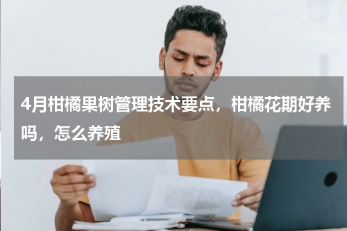 4月柑橘果树管理技术要点，柑橘花期好养吗，怎么养殖