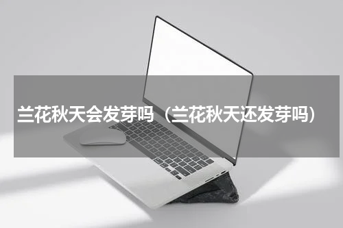 兰花秋天会发芽吗（兰花秋天还发芽吗）