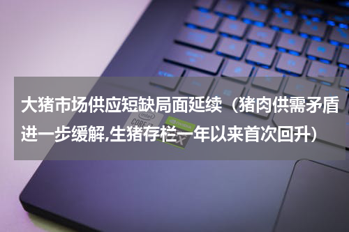 大猪市场供应短缺局面延续（猪肉供需矛盾进一步缓解,生猪存栏一年以来首次回升）