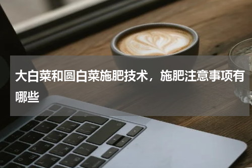 大白菜和圆白菜施肥技术，施肥注意事项有哪些