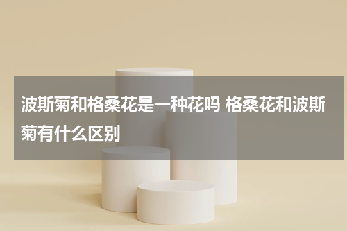 波斯菊和格桑花是一种花吗 格桑花和波斯菊有什么区别