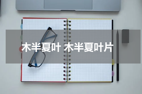 木半夏叶 木半夏叶片