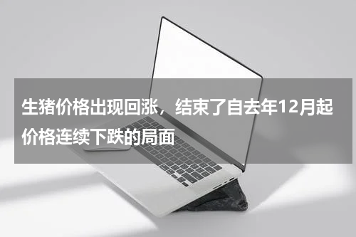 生猪价格出现回涨，结束了自去年12月起价格连续下跌的局面
