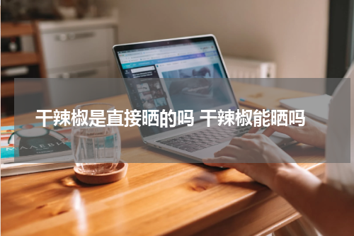 干辣椒是直接晒的吗 干辣椒能晒吗