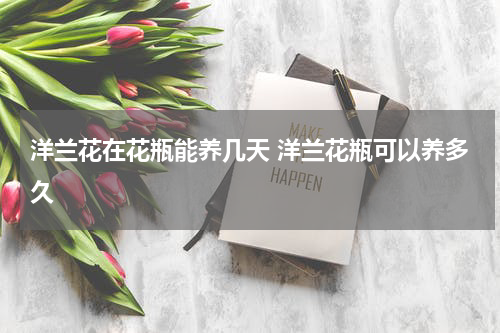 洋兰花在花瓶能养几天 洋兰花瓶可以养多久