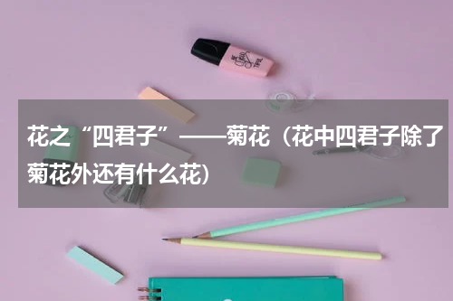 花之“四君子”——菊花（花中四君子除了菊花外还有什么花）