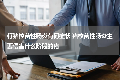 仔猪梭菌性肠炎有何症状 猪梭菌性肠炎主要侵害什么阶段的猪
