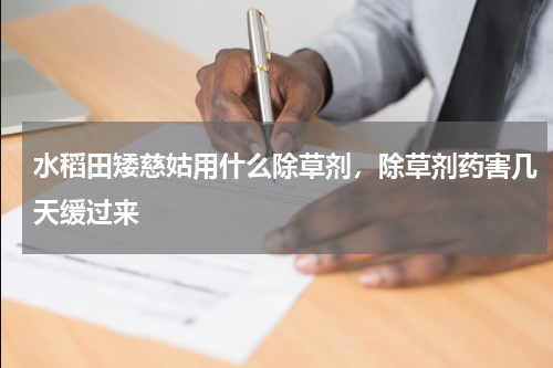 水稻田矮慈姑用什么除草剂，除草剂药害几天缓过来