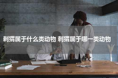 刺猬属于什么类动物 刺猬属于哪一类动物