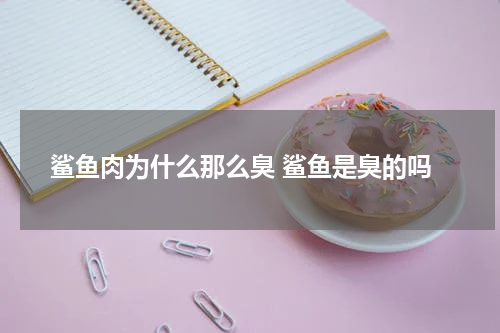 鲨鱼肉为什么那么臭 鲨鱼是臭的吗