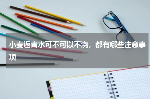 小麦返青水可不可以不浇，都有哪些注意事项