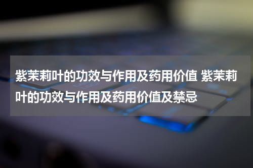 紫茉莉叶的功效与作用及药用价值 紫茉莉叶的功效与作用及药用价值及禁忌
