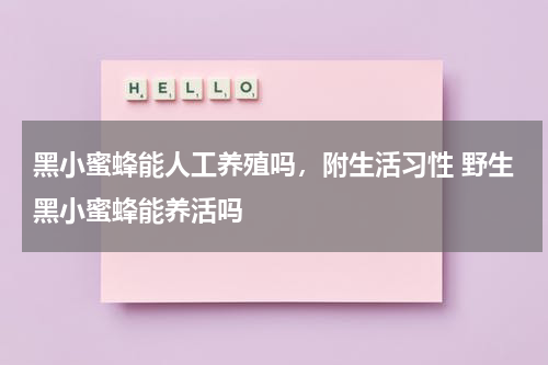 黑小蜜蜂能人工养殖吗，附生活习性 野生黑小蜜蜂能养活吗