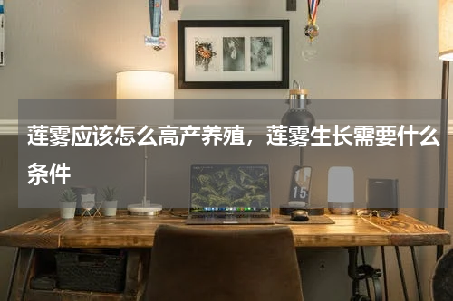 莲雾应该怎么高产养殖，莲雾生长需要什么条件