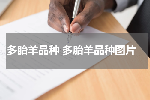 多胎羊品种 多胎羊品种图片