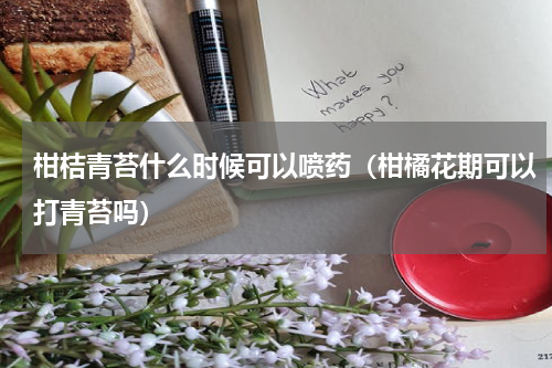 柑桔青苔什么时候可以喷药（柑橘花期可以打青苔吗）