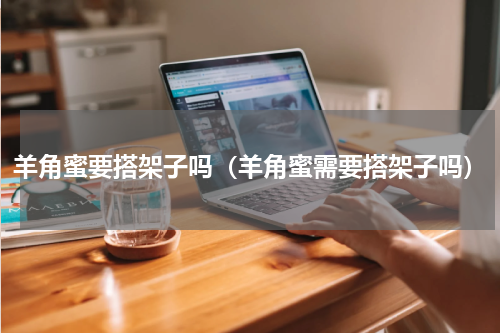 羊角蜜要搭架子吗（羊角蜜需要搭架子吗）
