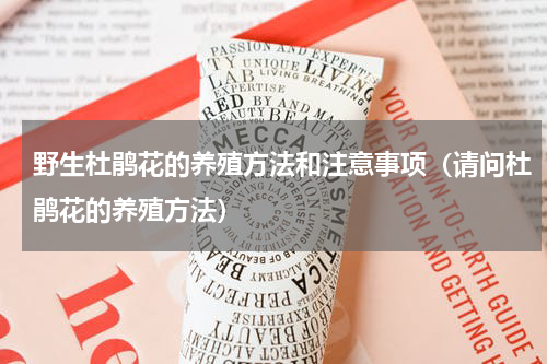 野生杜鹃花的养殖方法和注意事项（请问杜鹃花的养殖方法）