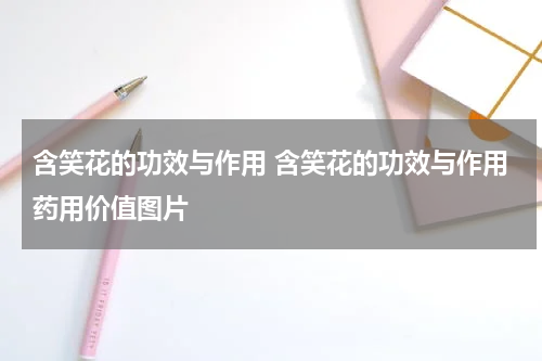 含笑花的功效与作用 含笑花的功效与作用药用价值图片