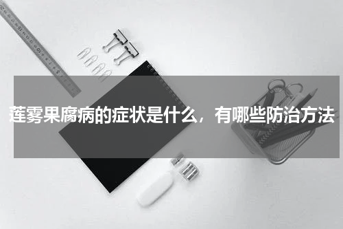 莲雾果腐病的症状是什么，有哪些防治方法