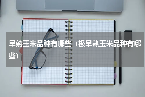 早熟玉米品种有哪些（极早熟玉米品种有哪些）