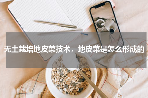 无土栽培地皮菜技术，地皮菜是怎么形成的