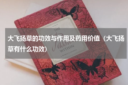 大飞扬草的功效与作用及药用价值（大飞扬草有什么功效）
