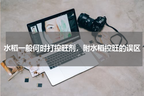 水稻一般何时打控旺剂，附水稻控旺的误区