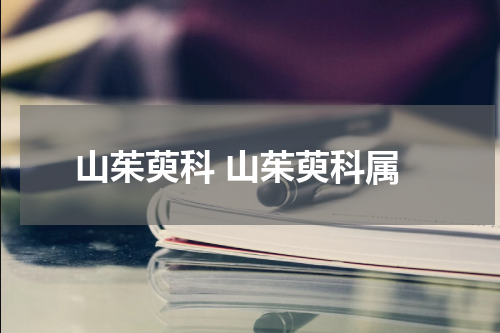 山茱萸科 山茱萸科属